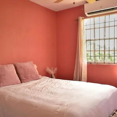 Cozy 1- Bed Apt Near Rodney Bay